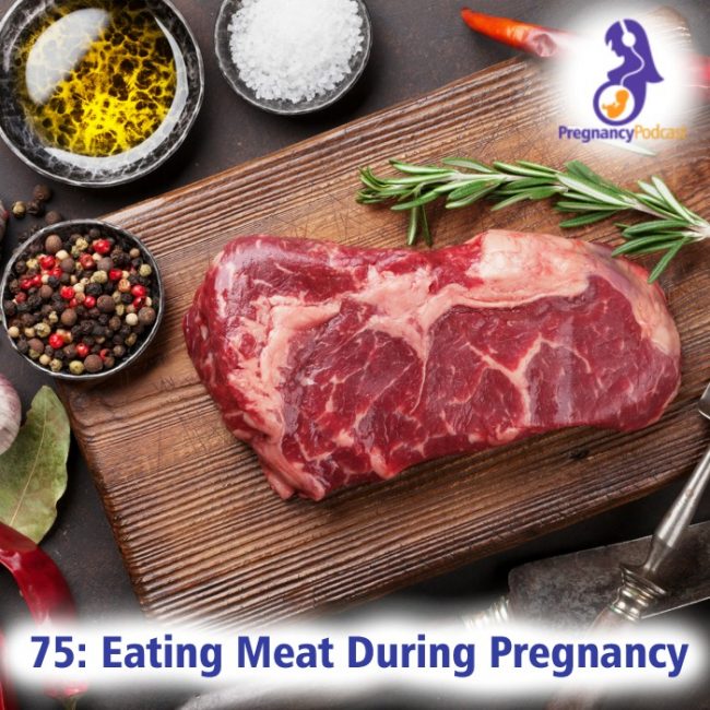 Pregnancy Podcast with Vanessa Merten Helping moms and dads navigate