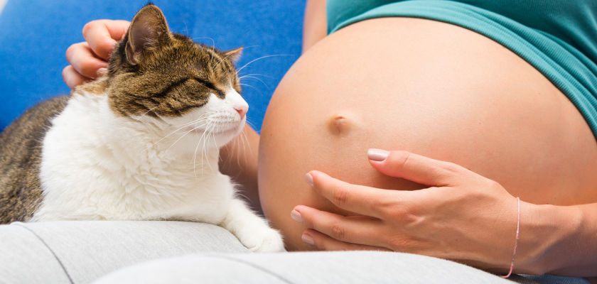 Pregnancy, Pets, and Your Baby