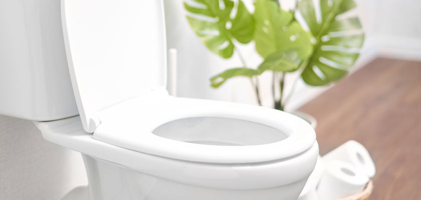 is-your-toilet-seat-turning-blue-pregnancy-podcast